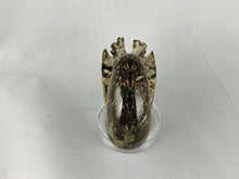 Whole Ammonite Fossil - 200 grams