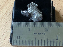 Sikhote-Alin Meteorite - Single Box Set