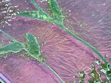 Fused Glass Art/Sun Catcher Mounted on Hickory Wood Stand - "Flower Garden"