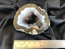 Las Choyas Coconut Geode Half