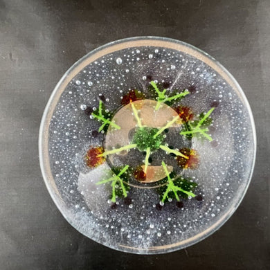 Medium Fused Clear Glass Bowl/Tray -