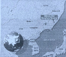 Sikhote-Alin Meteorite - Single Box Set