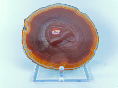 Large Gold Trimmed Brazilian Agate Slice