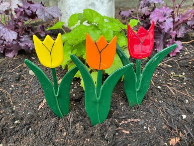 Tulip Plant Stakes - Yellow, Red, or Orange - Fused Glass Garden Art