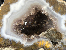 Las Choyas Coconut Geode Half