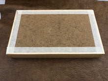 Marine Fossil Box Collection