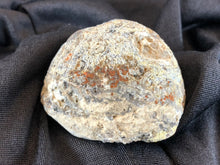 Las Choyas Coconut Geode Half