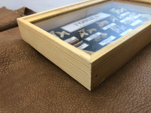 Marine Fossil Box Collection