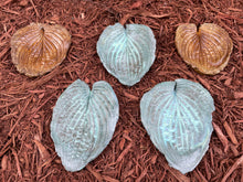 Rust Copper Hosta Leaf - Cast Portland Cement - Small 6" x 7"