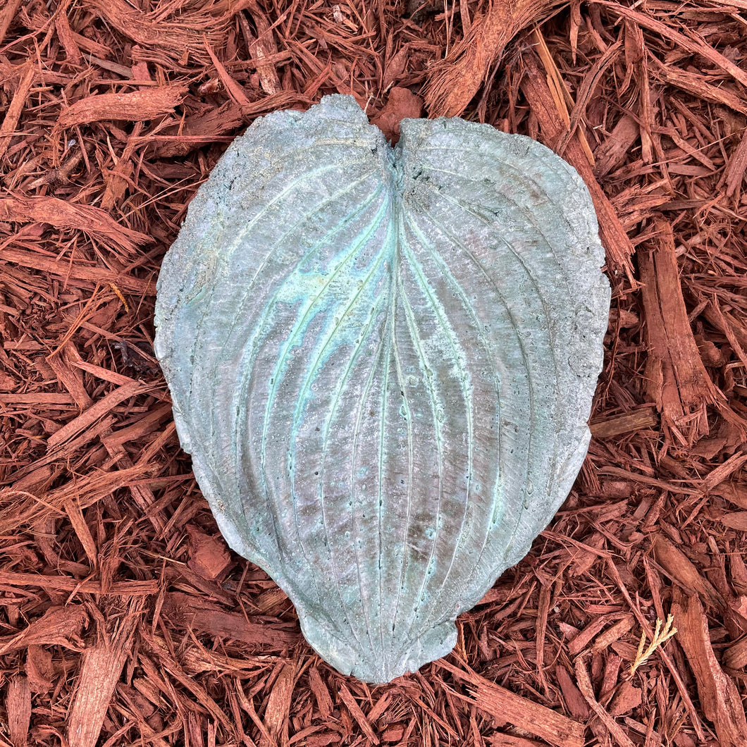 Jade Green Hosta Leaf - Cast Portland Cement - Small 6-1/2