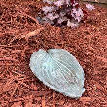 Jade Green Hosta Leaf - Cast Portland Cement - Small 6-1/2" x 8-1/2"
