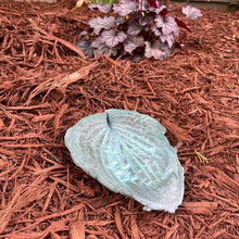 Jade Green Hosta Leaf - Cast Portland Cement - Small 6-1/2" x 8-1/2"
