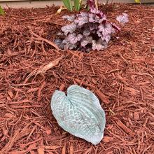 Jade Green Hosta Leaf - Cast Portland Cement - Small 5-3/4" x 8-1/4"