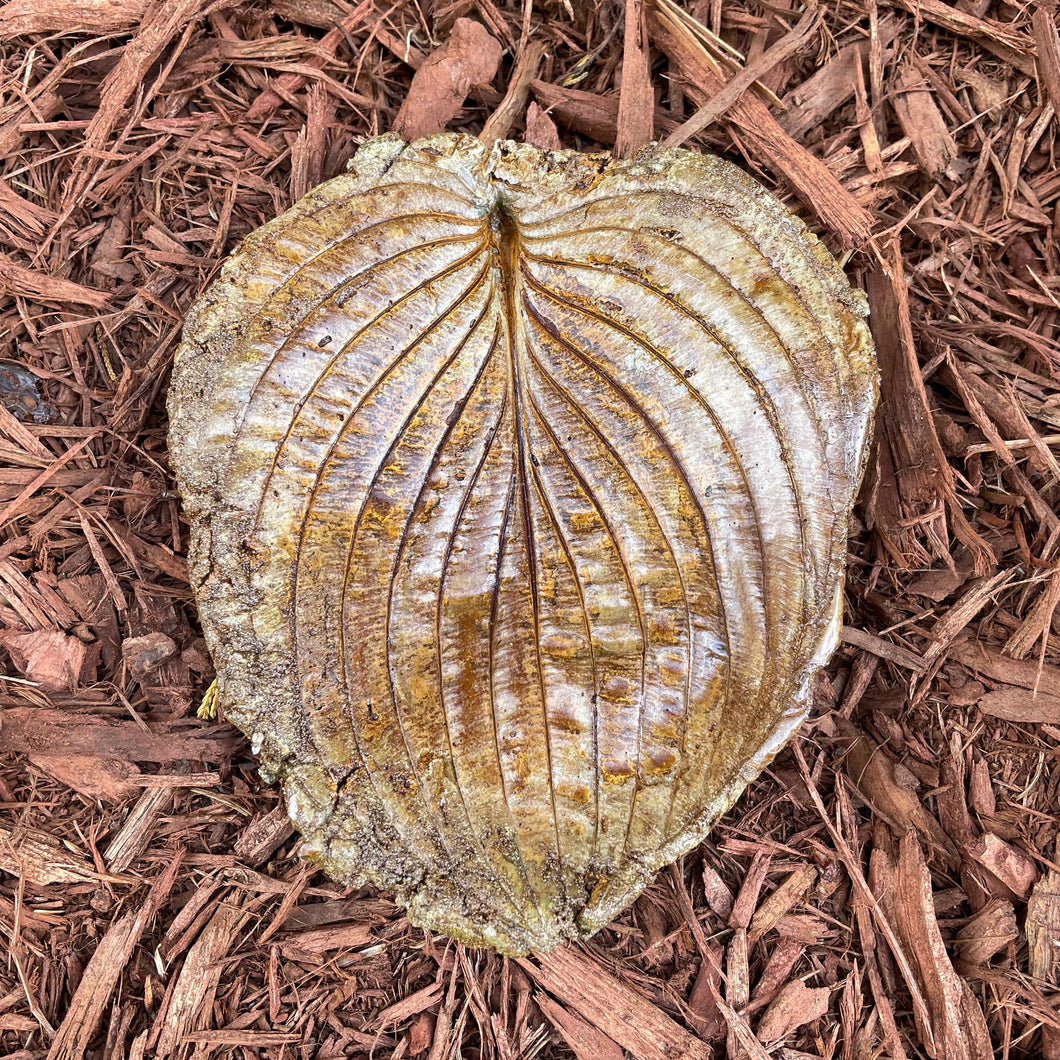 Rust Copper Hosta Leaf - Cast Portland Cement - Small 6-1/4