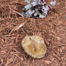 Rust Copper Hosta Leaf - Cast Portland Cement - Small 6-1/4" x 7-1/4"