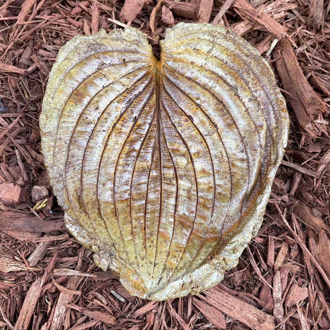 Rust Copper Hosta Leaf - Cast Portland Cement - Small 6