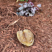 Rust Copper Hosta Leaf - Cast Portland Cement - Small 6" x 7"