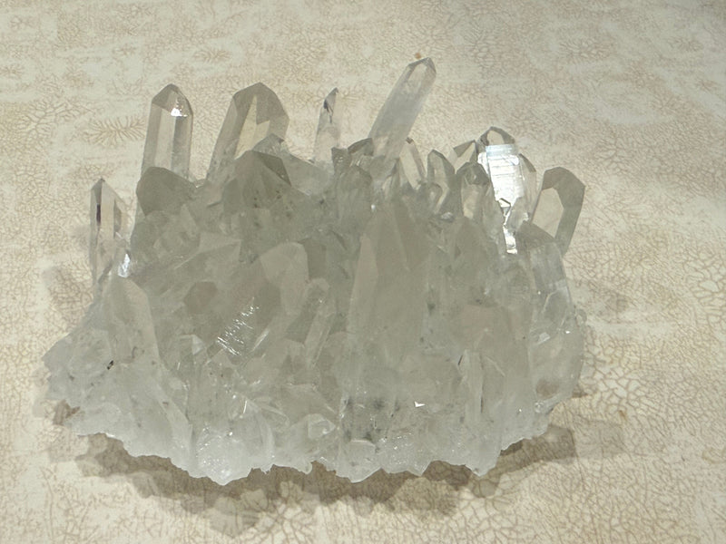 Spruce Claim Mining Trip - Quartz and Pyrite Crystal Collecting