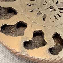 Fossilized Pyrite Ammonite Half