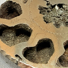 Fossilized Pyrite Ammonite Half