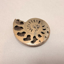 Fossilized Pyrite Ammonite Half