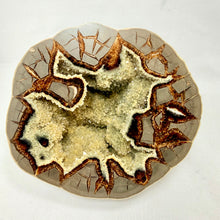 7" Polished Septarian Nodule Geode – Hollow Dragon Stone with Calcite Crystal Core