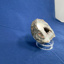 Las Choyas Coconut Geode Half