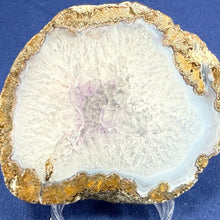 Las Choyas Coconut Geode Half