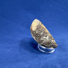 Las Choyas Coconut Geode Half