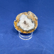 Las Choyas Coconut Geode Half