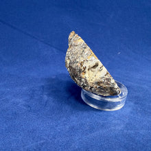 Las Choyas Coconut Geode Half