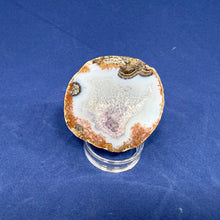 Las Choyas Coconut Geode Half