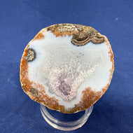 Las Choyas Coconut Geode Half