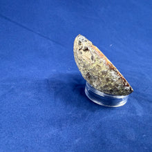 Las Choyas Coconut Geode Half