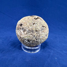 Las Choyas Coconut Geode Half