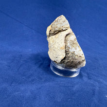 Las Choyas Coconut Geode Half