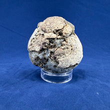 Las Choyas Coconut Geode Half