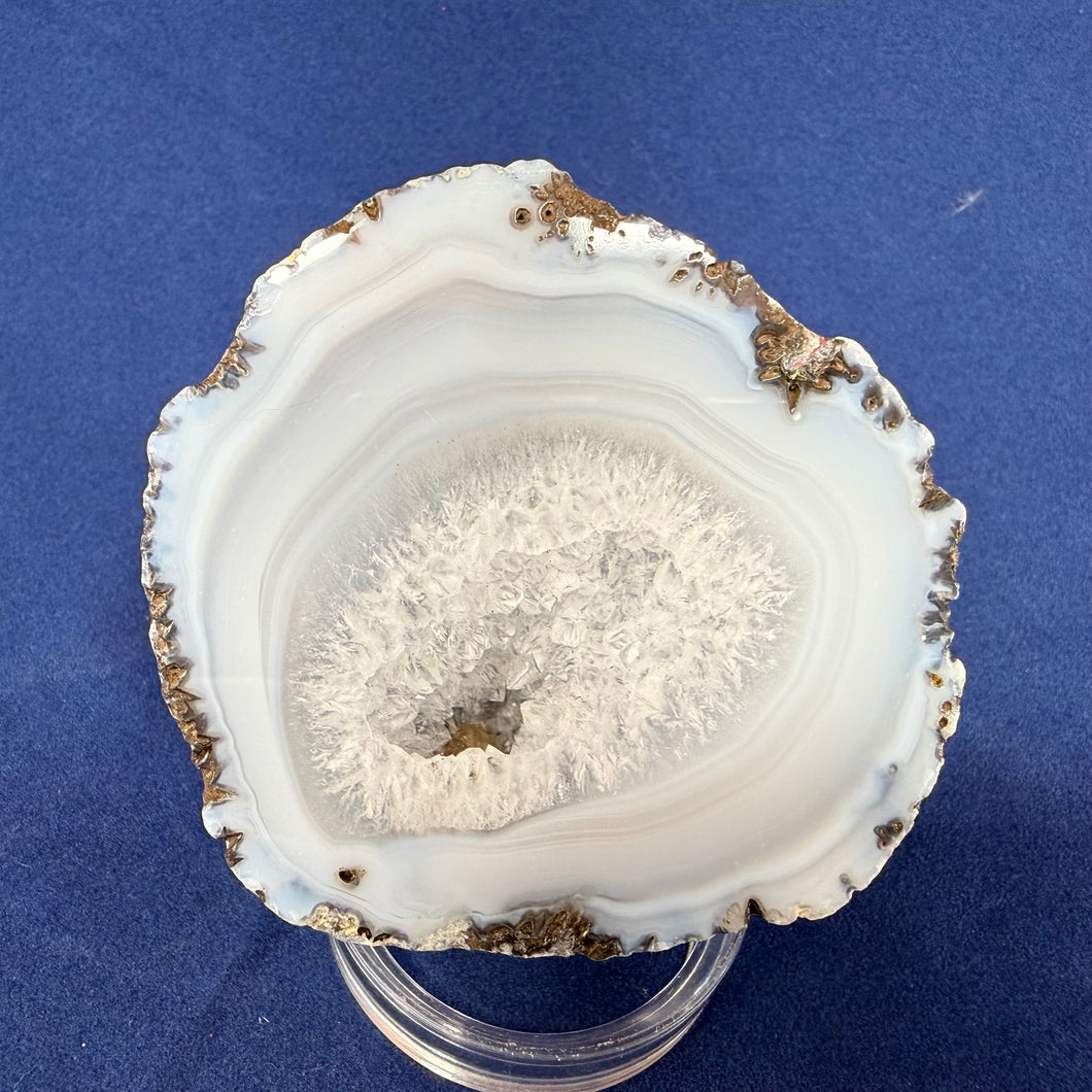 Las Choyas Coconut Geode Half