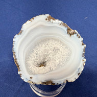 Las Choyas Coconut Geode Half