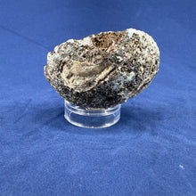 Las Choyas Coconut Geode Half