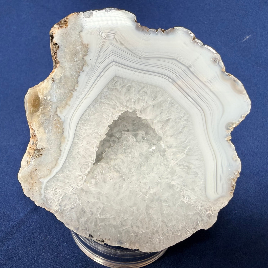 Las Choyas Coconut Geode Half