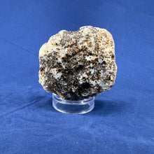 Las Choyas Coconut Geode Half