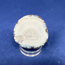 Las Choyas Coconut Geode Half