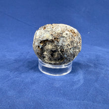 Las Choyas Coconut Geode Half