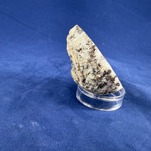 Las Choyas Coconut Geode Half