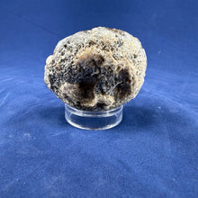 Las Choyas Coconut Geode Half