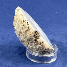 Las Choyas Coconut Geode Half