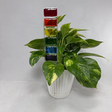 Fused Glass Plant Stake Totem - Rainbow Series
