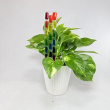 Fused Glass Plant Stake Totem - Rainbow Series