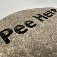 "Pee Here" - Sand Carved River Rock